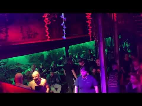 Mikroport Early dmk ending !!