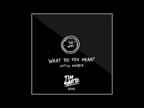 Justin Bieber - What Do You Mean (Tim Gartz Remix)