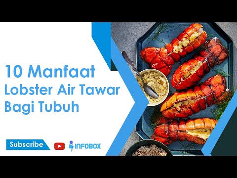 , title : '10 Manfaat Lobster Air Tawar Bagi Tubuh'