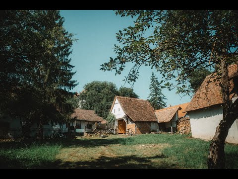 Amphitrio x Blue Noise - Bohemian Horse | Live Session @alter acoustic