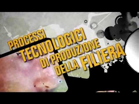 Mal di schiena da pancreatite Trattamento astratto di osteoartrite