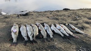 Все о рыбалке в ленинской пойме