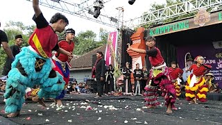 Download lagu AKSI FULL NDADI PARADE BARONG DI KAMPUNG BUDAYA BALUNG JEMBER 2026 mp3 Download lagu AKSI FULL NDADI PARADE BARONG DI KAMPUNG BUDAYA BALUNG JEMBER 2026 mp3