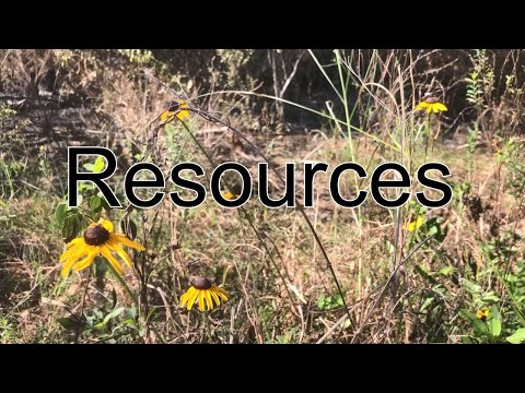 Ranger Division Mini-Series: Resource Management | Big Cypress National Preserve