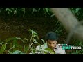 Anushka Prabhas WhatsApp Status ️ Mirchi