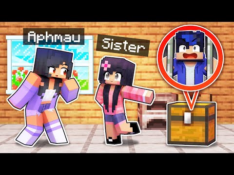 Aphmau - Helping Your LITTLE SISTER In Minecraft!