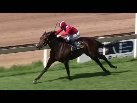 MIKE AZZIE 2 RUNNERS GUINEAS