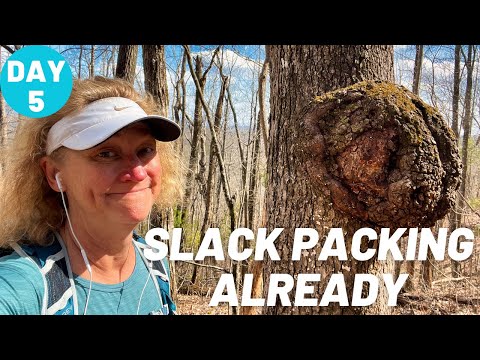Day 5 - Slack Packing Blood Mountain - Appalachian Trail 2021