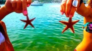 Autumn with lyrics by Sparks the Rescue