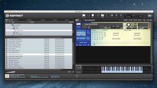Video thumbnail for Spitfire Walkthrough - PP005 Inder Goldfinger Percussionist by Spitfire Audio