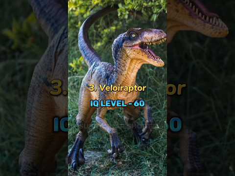 世界で最も賢い動物トップ 10 🧠🌎 #shorts