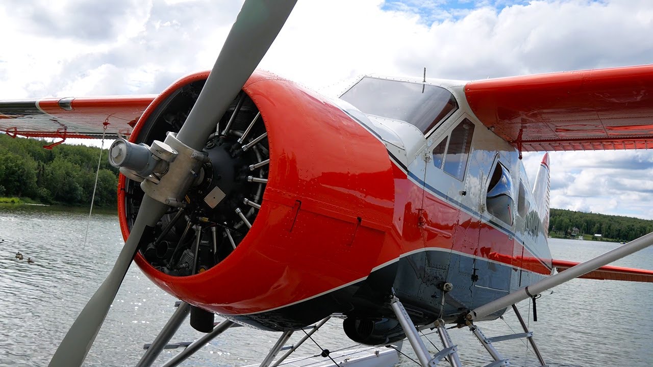 Iconic DHC-2 Beaver receives 'first in the world' RED Engine upgrade -  Skies Mag