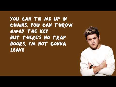 Illusion - One Direction (Lyrics)