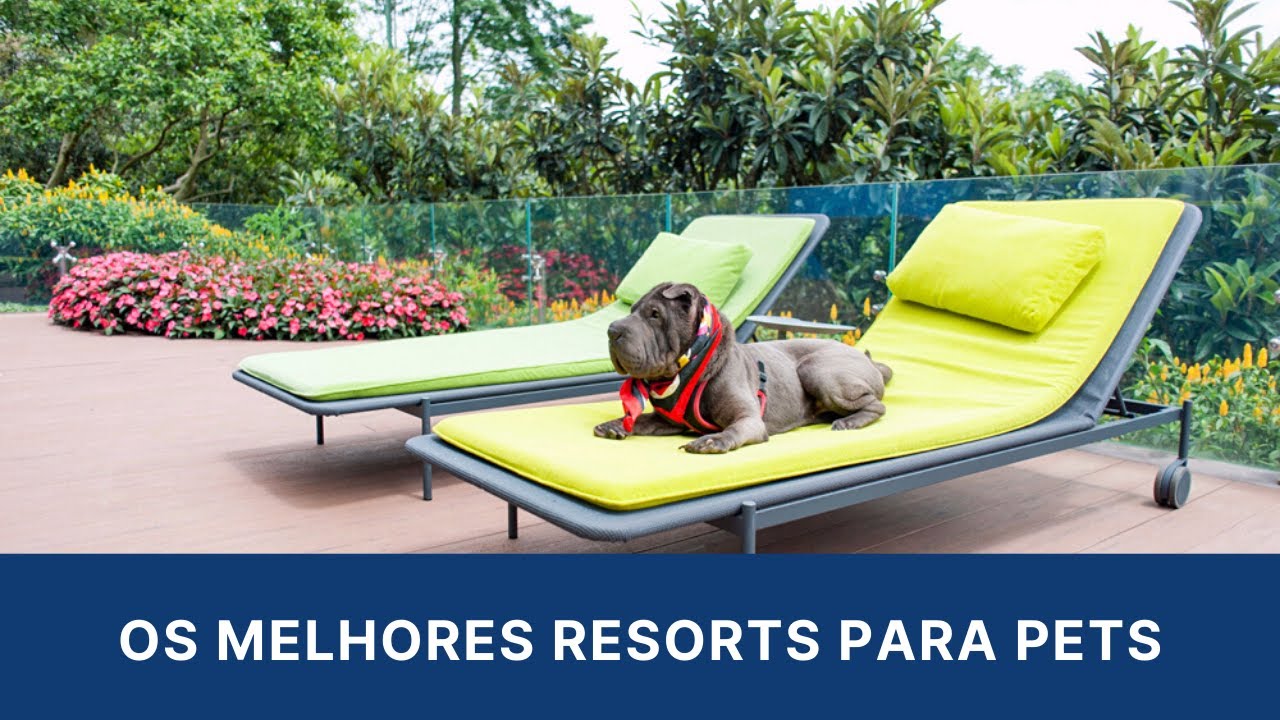 OS MELHORES RESORTS PARA PETS #OSMELHORES