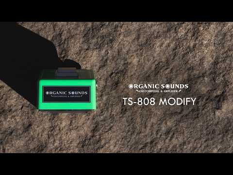 Organic Sounds TS808 Mod. – Vintage Oriented Tuning 2026 - Green