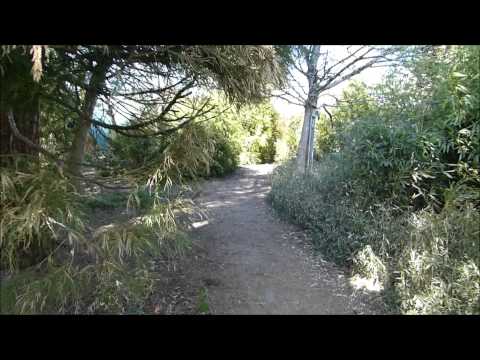 Dinkelberger Biergärdle in Adelhausen