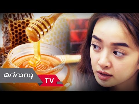 [Arirang Special] Gangwon Province, opens the door to 'Industrial Korean Wave' in Vietnam!