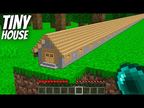 What's INSIDe the Tiny Villager House in Minecraft ?