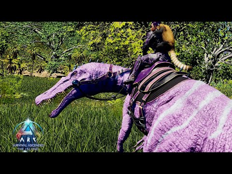 Starting The Ultimate BARYONYX Breeding Project! [Ark Survival Ascended] [The Island] Episode [14]