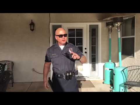 12 Days of Christmas COPs Edition