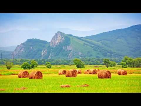 Jey Kurmis - Burnetty (Original Mix)