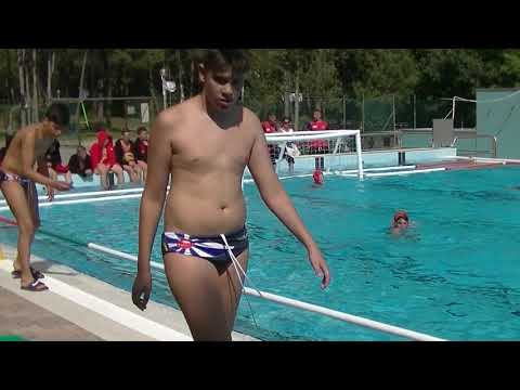 ZF Eger - Little sharks 13:2 Habawaba U13 2.