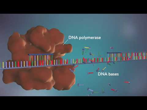Replikation 3D in 3 Minuten -  made EASY