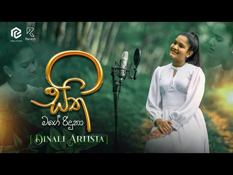 Sitha Mage Riduna ( සිත මගේ රිදුනා ) - Dinali Artista | Cover Song