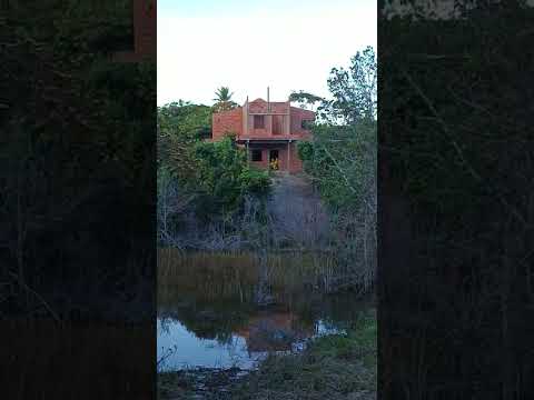 Área 9 - Baía de Camamu, Bahia, Brasil