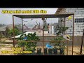 Tutorial Lengkap Membuat Aviary Mini