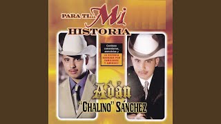 Estos Somos Sus Amigos Lyrics English Translation