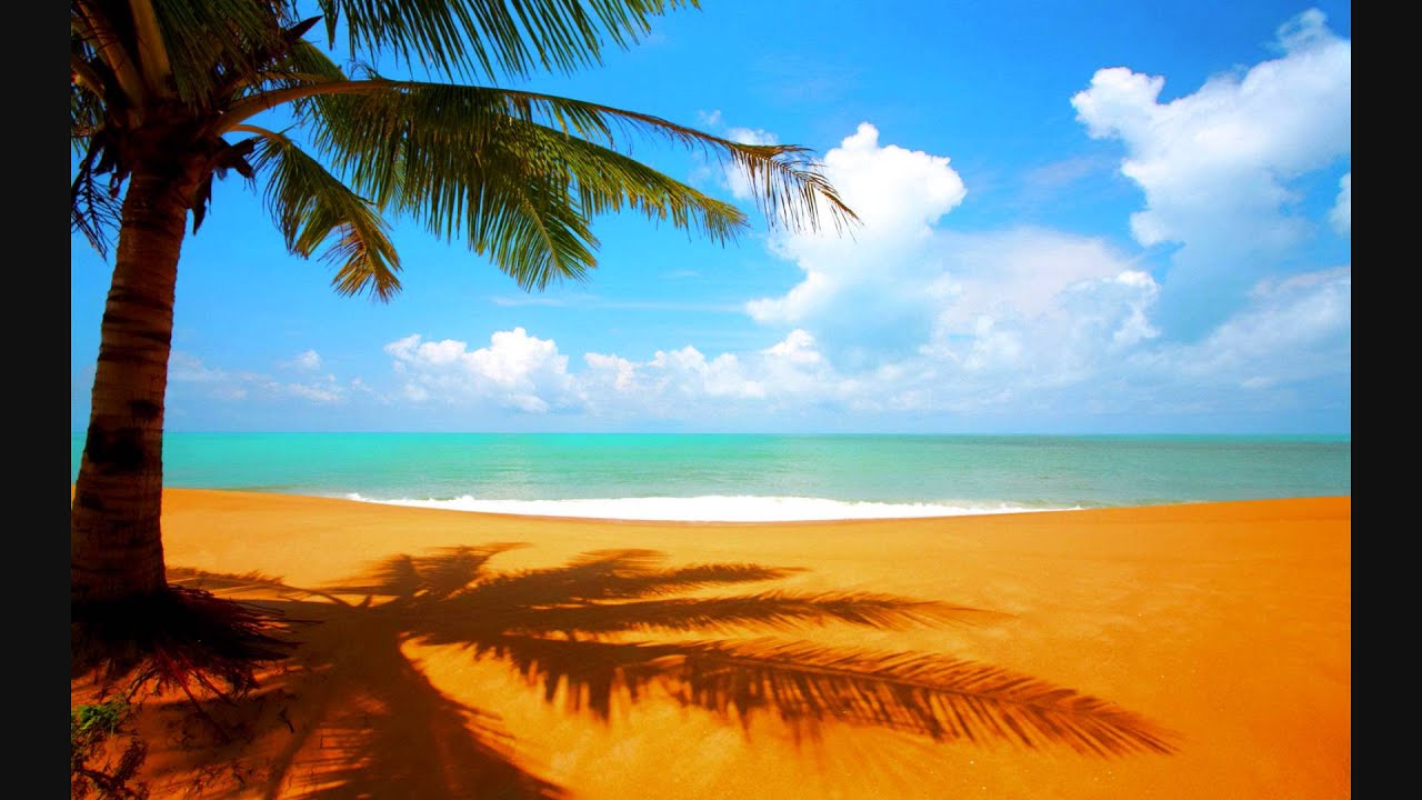 Good Night Lyrics  | Ferrari Ki Sawaari | Sharman Joshi, Boman Irani | Priyani Vani | Pritam Chakraborty