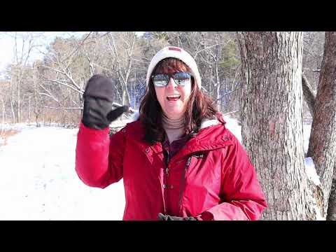Trailside Treasures 18 - Tree Squirrel Findings