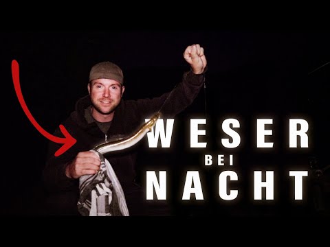 Mit Pose auf Aal. Angeln an der Weser