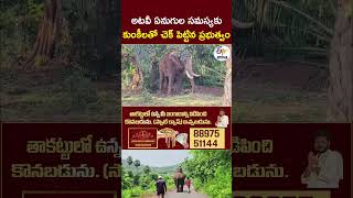 అటవీ ఏనుగుల సమస్యకు కుంకీలతో చెక్ పెట్టిన ప్రభుత్వం