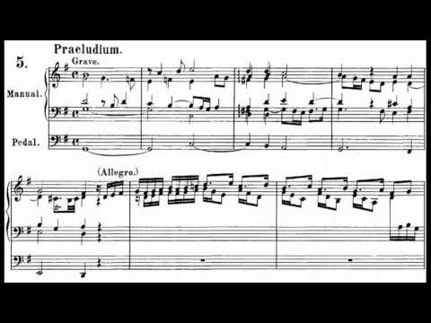 J. S. BACH: EIGHT SHORT PRELUDES AND FUGUES BWV 553-560 (complete) - [DENES KAPITANY]