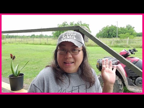 Why see Fungi or Mushrooms in your garden is a good thing