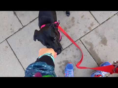 Lusia sygnał neutralny zawracanie