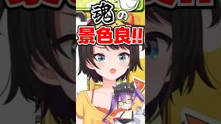 「魂の景色良!!」トワに先手を打たれて言い訳するスバルwww【ホロライブ】