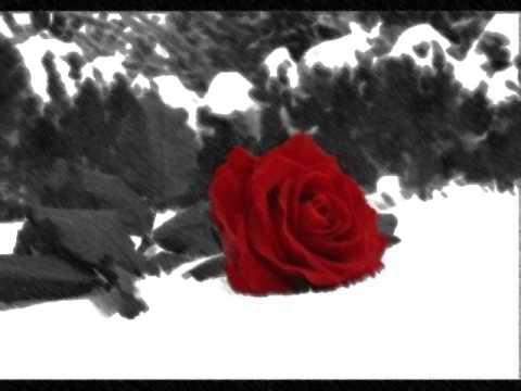 Sonho De Inverno video