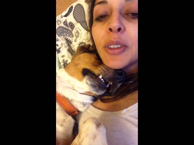 Vídeo relacionado con Puparazzi - Funny Dog Paparazzi Fotógrafo Juego de palabras Sudadera con Capucha