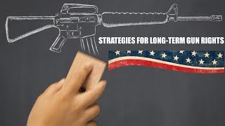 Strategies for Long-Term Gun Rights