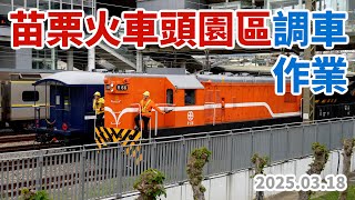 Download the video "2025.03.18 // 苗栗火車頭園區調車作業 // 25TPK2050型木造車廂 // 日立65噸蒸汽大吊車"