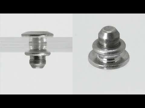 Lycaena helle (雄成虫)