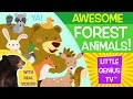 Forest Animals Videos For Babies Toddlers Kids Little Genius TV