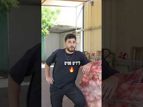 תפוכן ממליצים על תומאסו