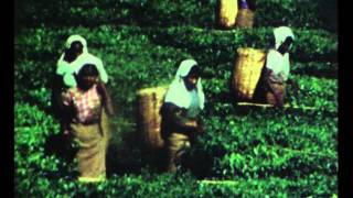 preview picture of video 'Ceylon Nuwara Eliya 1970'