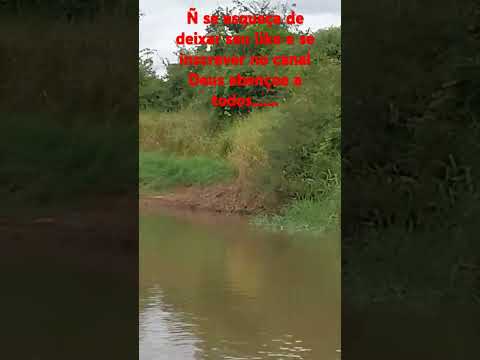 Rio Mogi,Guatapara São Paulo,que paz .gratidão por tudo#vidasimplesnaroca#rio#food