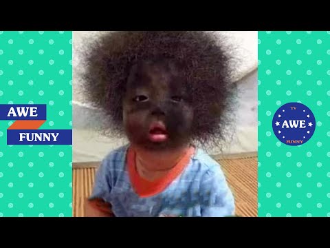 Vídeos engraçados e fofos 2023 🤣 Melhores pessoas fazendo coisas engraçadas P89 😺😍