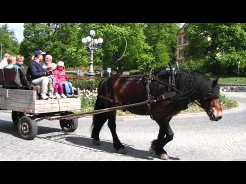 Hästkraft Fjärdhundra